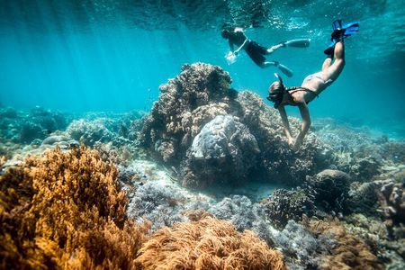 All Inclusive Bali Blue Lagoon and Tanjung Jepun Snorkeling