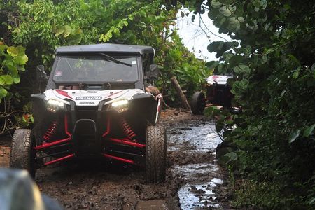 Northern Sights - Buggy in the North