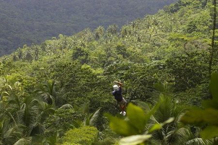 Drive and Fly - Buggy and Zipline