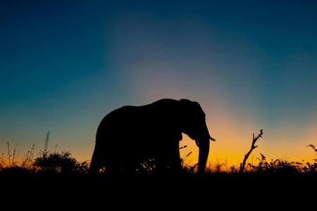 Aquila Game Reserve Sunset Safari 