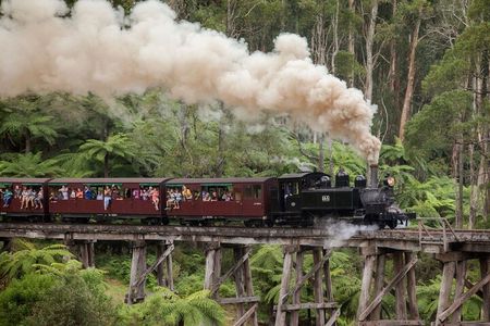 Puffing Billy Steam Train Experience