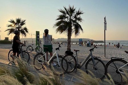 Dubai Electric Bicycle Tour