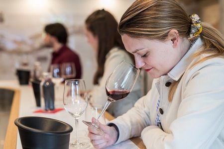 Private wine tasting workshop in Bourgogne