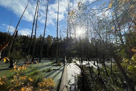 Guided hike in Berlin and Brandenburg incl. transport 