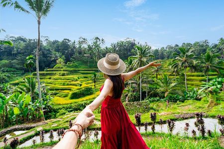 Ubud Tour with Swing, Waterfalls, Rice Terraces & Monkey Forest