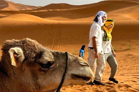 From Marrakech: 3-Day Private Excursion to the Erg Chegaga Sahara