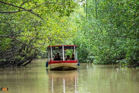 Damas Mangroove Boat Tour from Manuel Antonio