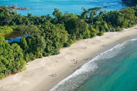 Manuel Antonio National Park Nature Walk