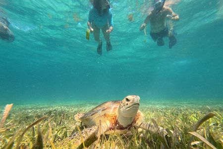 Let's snorkel Hol Chan the Best Marine Reserve in Belize