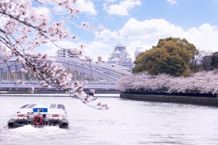 Osaka Afternoon Walking Tour Round-trip from Umeda or Namba