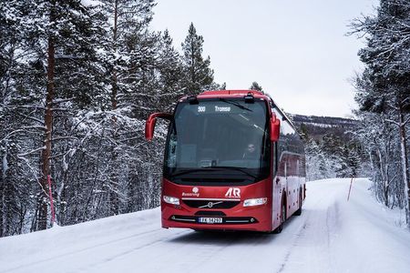 Silent Whale Watching on Hybrid-Electric Boat with Scenic Bustrip