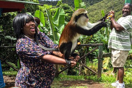 Nature Lovers: Grand Etang Lake & Annandale Falls