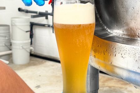 Brewery Tour and Beer Tasting | Tour y Degustación de Cerveza
