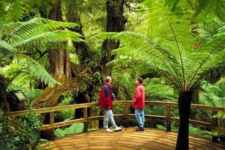 3 Day Combo: Great Ocean Road, Penguin Parade and FREE City Tour