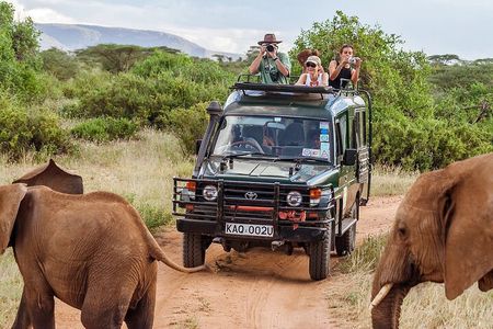 5-Days Tanzania Joining Group Safari : Best Price 2025/2026