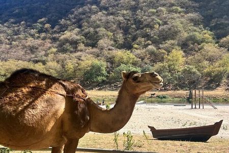 5 Hours of East Salalah Best (Private Tour)