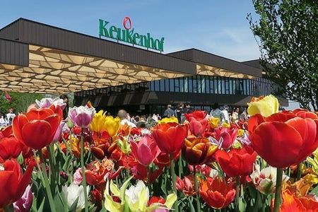 Keukenhof Garden Private Tour From Amsterdam Included tickets!