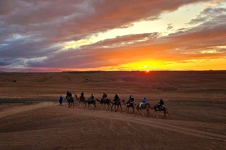 Agafay Desert Camel riding with sunset and dinner and berber show