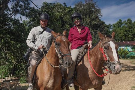 Scenic Horseback Ride in Tropical Mountain Reserve