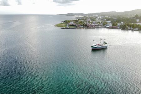 Private Roatan Sightseeing Tour