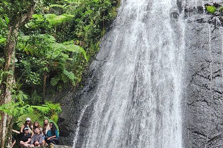 El Yunque National Rainforest and Luquillo Beach Tour