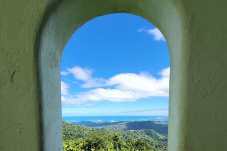 El Yunque National Rainforest and Luquillo Beach Tour