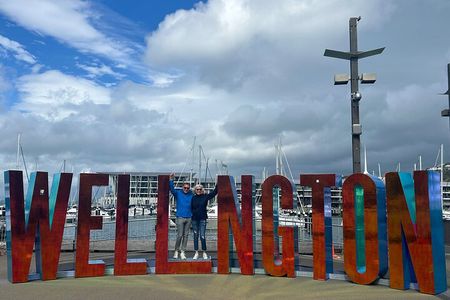 Wellington City and Sea: Private Tour in Electric Tesla SUV