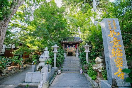 Yufuin, Beppu Hell Tour with Lake and Temple from Fukuoka