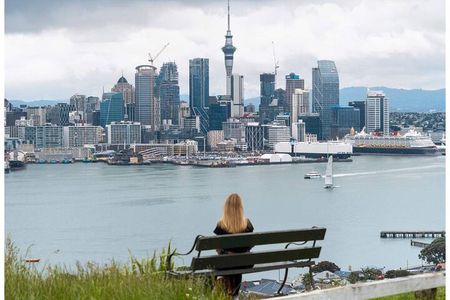 A 5 Hour Private City Highlights: Unveiling Auckland's Treasures