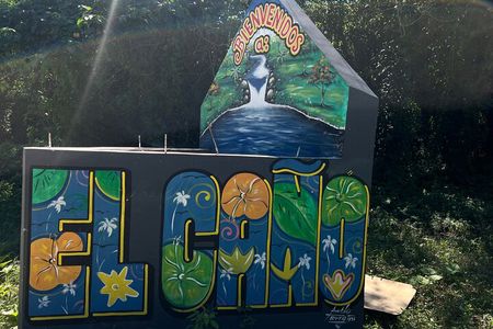 Coffee and Chocolate Plantation Tour 