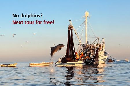 Sunrise Dolphins & Fishermen at Work speedboat tour in Rovinj