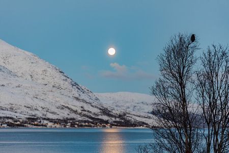 Five Tromso Fjords Tour by Minivan in Four Hours