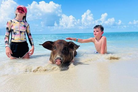 Perfect Day - Pigs, Turtles, Snorkel & Lunch