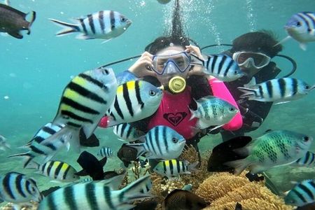 Coral Reef Snorkeling and Floating Bar Party from Nha Trang