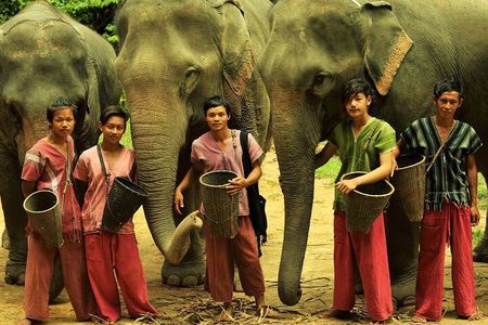 Small Group immersive Elephant Sanctuary & Karen Tribe life