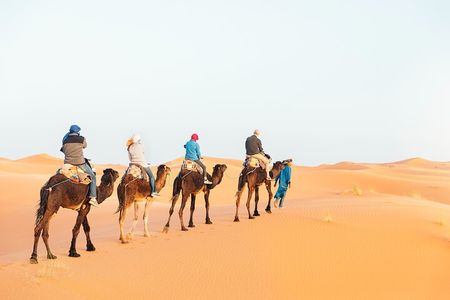 Luxury Sahara Desert Tour from Marrakech : 4-Day to Fes