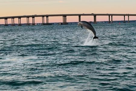 Destin Boat Ride with Cruise Destin Bay