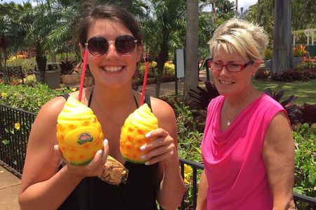 Private luxury tour of Oahu island