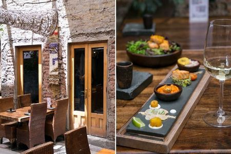 Concha y Toro Wine Tour + Ancestral Lunch in Santiago