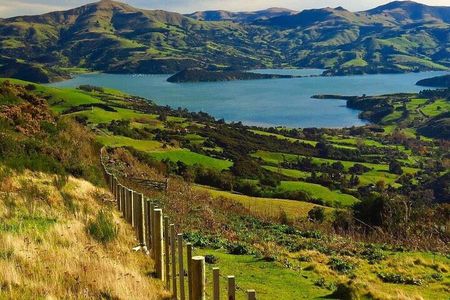 Akaroa Group Day Tour from Christchurch