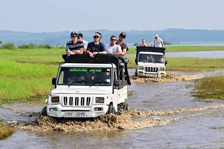 Minneriya National Park halfday Safari