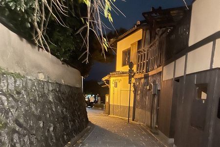 Discover Kyoto at Night by Bike