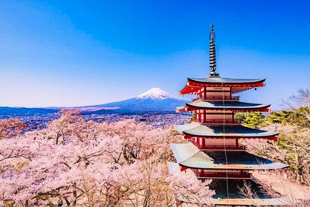 Private Sightseeing to Mt Fuji and Hakone with English Driver