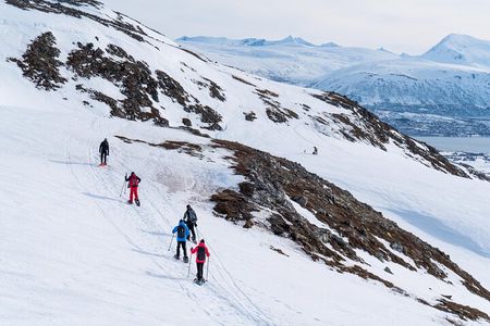 Small Group Snowshoe Hike in Tromso
