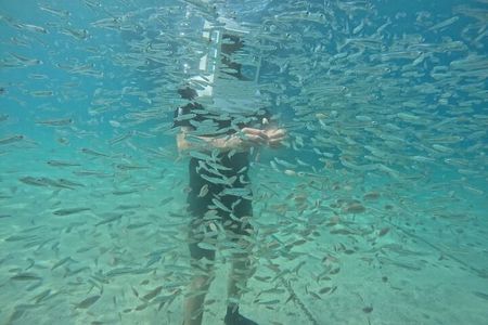 Undersea Helmets