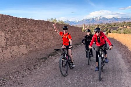 Guided tour of the Palmerie de Skoura by electric mountain bike