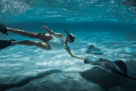 Moorea: Private Snorkeling Tour with Certify Guide