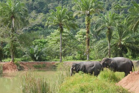 Wildlife Watching Adventure in Ao Nang