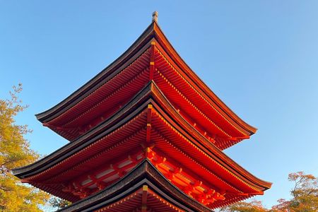 Private and unlimited adventures within Kyoto Nara Osaka Kobe 