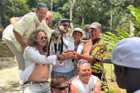 Paradise Unveiled Full Day Island Escape